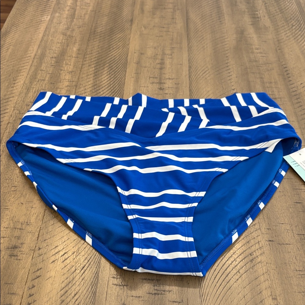 554 DSG Blue and White Striped Bikini Bottom